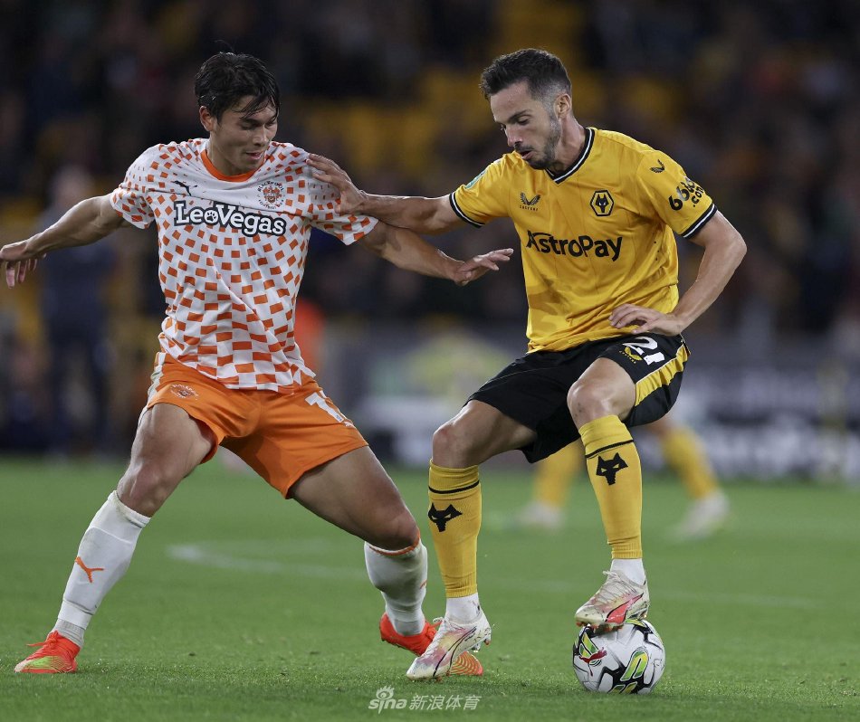 疑已成为韩 疑已成为韩